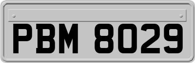 PBM8029