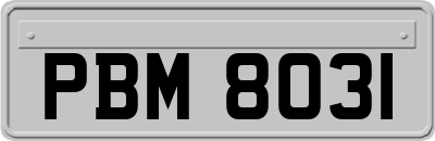 PBM8031