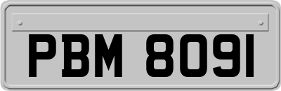 PBM8091