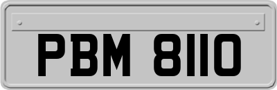 PBM8110