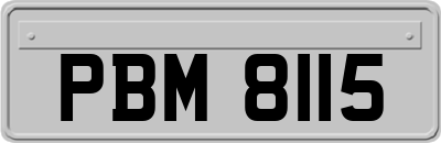 PBM8115