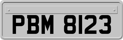 PBM8123