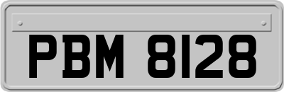 PBM8128