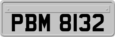 PBM8132