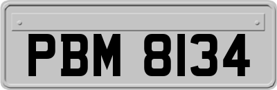 PBM8134