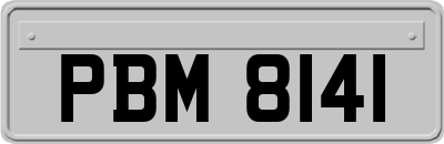 PBM8141