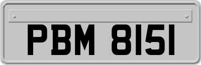 PBM8151