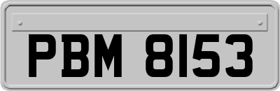 PBM8153