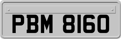 PBM8160