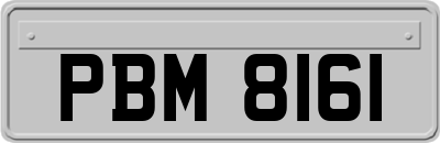 PBM8161