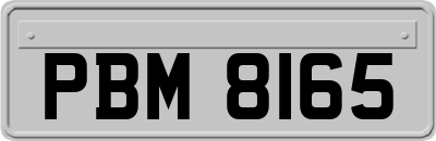 PBM8165