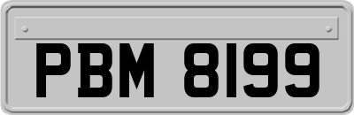 PBM8199