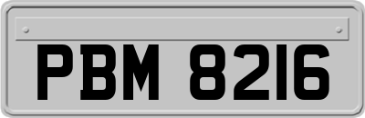 PBM8216