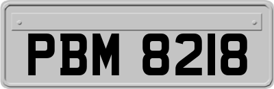 PBM8218