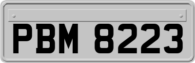 PBM8223