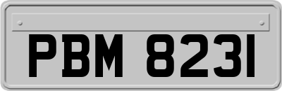 PBM8231