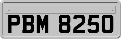 PBM8250