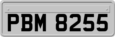 PBM8255