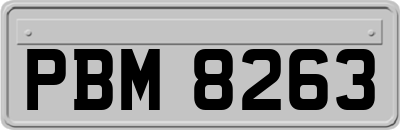 PBM8263