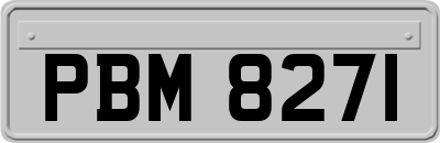 PBM8271