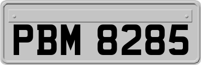 PBM8285