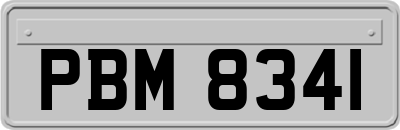 PBM8341