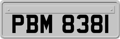 PBM8381