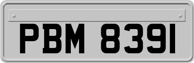 PBM8391