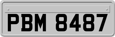 PBM8487