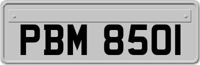 PBM8501