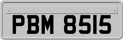 PBM8515