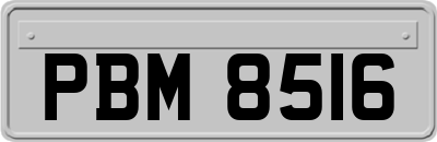 PBM8516