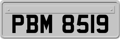 PBM8519