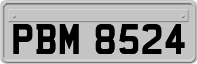 PBM8524