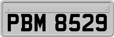 PBM8529