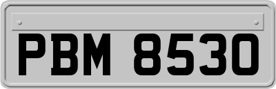 PBM8530