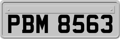 PBM8563