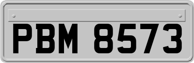 PBM8573