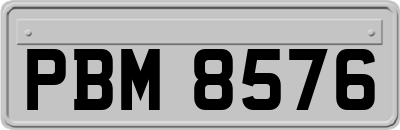 PBM8576