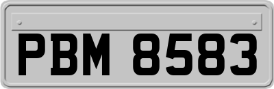 PBM8583