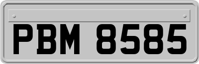 PBM8585