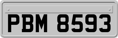 PBM8593