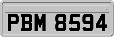 PBM8594