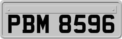 PBM8596