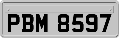 PBM8597