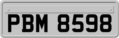 PBM8598