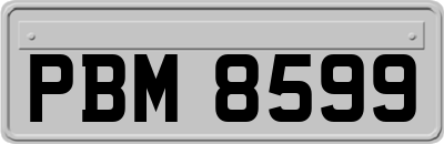 PBM8599