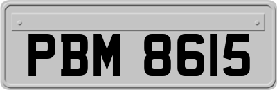 PBM8615