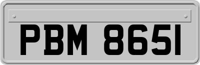 PBM8651