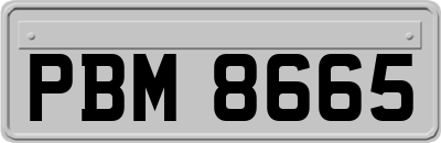 PBM8665